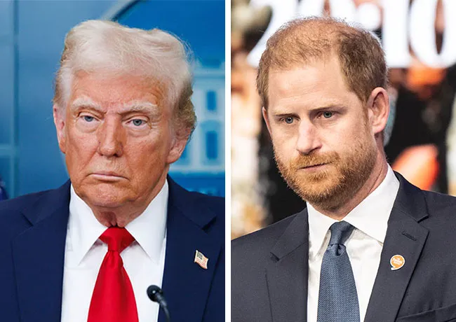 donald trump prince harry