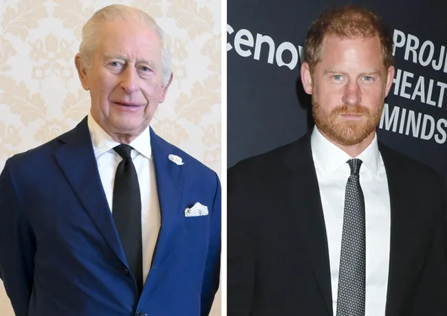 King Charles Prince Harry