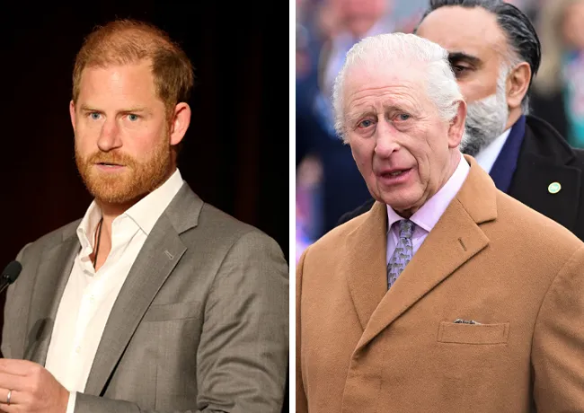 King Charles and Prince Harry