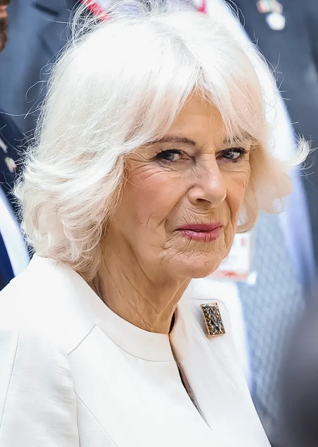 Queen Camilla Italy State Visit
