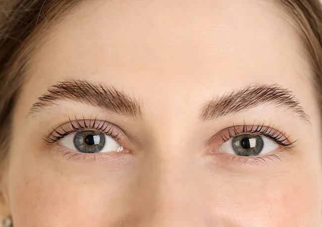 soft-angled-eyebrows
