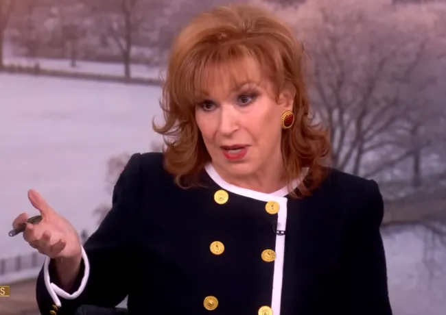 Joy Behar The View