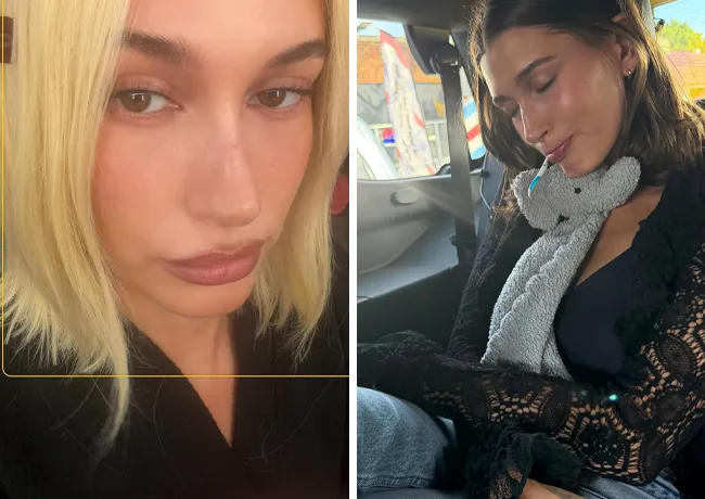 Hailey Bieber blonde wig and elephant toy Instagram