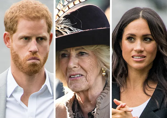 Prince Harry and Meghan Markle with Queen Camilla