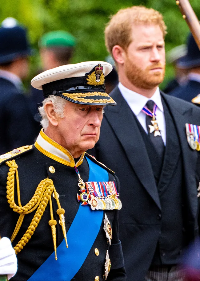 King Charles and Prince Harry