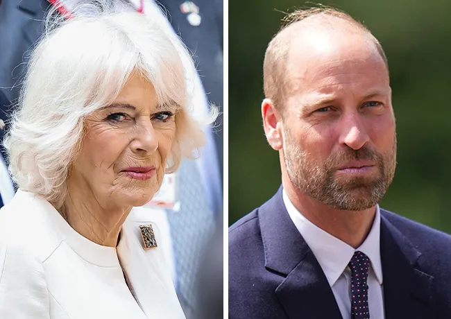 Prince William and Queen Camilla