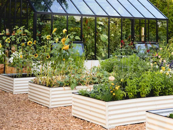 Tall raised garden bundle filled with various plants