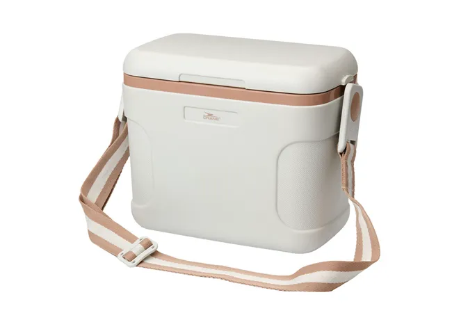 Cooler filled with ice and an ice brick