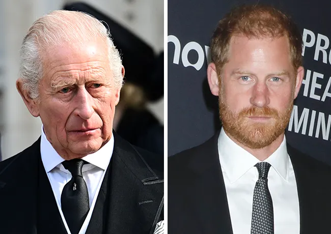 king charles prince harry