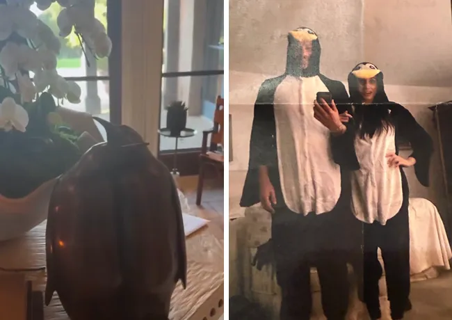 Meghan Markle Instagram Story wedding anniversary penguins