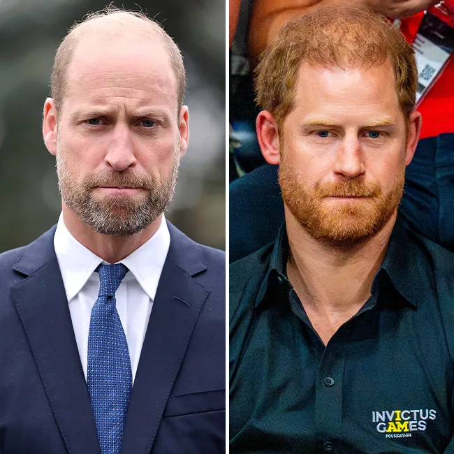prince william prince harry